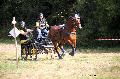 Photo n 37576&#10;Blangy s/ Bresle 2016. Photo Chevalandrieu&#10;Cline JOURDAIN&#10;Affiche 12 fois&#10;Ajoute le 29/07/2016 17:56:49 par Nadinetoudic&#10;&#10;--> Cliquer pour agrandir <--