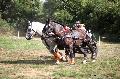 Photo n 37582&#10;Blangy s/ Bresle 2016. Photo Chevalandrieu&#10;Christophe BORDEZ&#10;Affiche 19 fois&#10;Ajoute le 29/07/2016 18:08:45 par Nadinetoudic&#10;&#10;--> Cliquer pour agrandir <--
