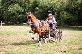 Photo n 37583&#10;Blangy s/ Bresle 2016. Photo Chevalandrieu&#10;Thierry BECK&#10;Affiche 21 fois&#10;Ajoute le 29/07/2016 18:08:45 par Nadinetoudic&#10;&#10;--> Cliquer pour agrandir <--