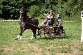 Photo n 37584&#10;Blangy s/ Bresle 2016. Photo Chevalandrieu&#10;Francis LE NOUAILLE&#10;Affiche 49 fois&#10;Ajoute le 29/07/2016 18:08:45 par Nadinetoudic&#10;&#10;--> Cliquer pour agrandir <--