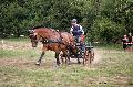 Photo n 37586&#10;Blangy s/ Bresle 2016. Photo Chevalandrieu&#10;Jean-Marie BELLOY&#10;Affiche 17 fois&#10;Ajoute le 29/07/2016 18:08:45 par Nadinetoudic&#10;&#10;--> Cliquer pour agrandir <--