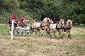 Photo n 37589&#10;Blangy s/ Bresle 2016. Photo Chevalandrieu&#10;Loc ROHAUT&#10;Affiche 96 fois&#10;Ajoute le 29/07/2016 18:20:29 par Nadinetoudic&#10;&#10;--> Cliquer pour agrandir <--