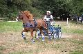 Photo n 37590&#10;Blangy s/ Bresle 2016. Photo Chevalandrieu&#10;Andr VASSEUR&#10;Affiche 46 fois&#10;Ajoute le 29/07/2016 18:20:30 par Nadinetoudic&#10;&#10;--> Cliquer pour agrandir <--