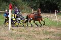 Photo n 37591&#10;Blangy s/ Bresle 2016. Photo Chevalandrieu&#10;Pierre LE CLERC&#10;Affiche 27 fois&#10;Ajoute le 29/07/2016 18:20:30 par Nadinetoudic&#10;&#10;--> Cliquer pour agrandir <--