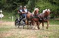 Photo n° 37592
Blangy s/ Bresle 2016. Photo Chevalandrieu
Christian DERREY
Affichée 40 fois
Ajoutée le 29/07/2016 18:20:30 par Nadinetoudic

--> Cliquer pour agrandir <--