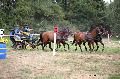 Photo n° 37593
Blangy s/ Bresle 2016. Photo Chevalandrieu
Jean-Paul ADIDI
Affichée 27 fois
Ajoutée le 29/07/2016 18:20:30 par Nadinetoudic

--> Cliquer pour agrandir <--