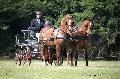 Photo n 37613&#10;Gonneville sur Mer 2016. Photo Chevalandrieu&#10;Philippe VEZIER&#10;Affiche 18 fois&#10;Ajoute le 14/08/2016 21:17:42 par Nadinetoudic&#10;&#10;--> Cliquer pour agrandir <--
