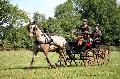 Photo n 37616&#10;Gonneville sur Mer 2016. Photo Chevalandrieu&#10;David GUERIN&#10;Affiche 27 fois&#10;Ajoute le 14/08/2016 21:17:42 par Nadinetoudic&#10;&#10;--> Cliquer pour agrandir <--