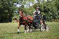 Photo n 37619&#10;Gonneville sur Mer 2016. Photo Chevalandrieu&#10;Elise MOREL&#10;Affiche 23 fois&#10;Ajoute le 14/08/2016 21:27:07 par Nadinetoudic&#10;&#10;--> Cliquer pour agrandir <--