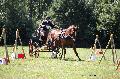Photo n 37626&#10;Gonneville sur Mer 2016. Photo Chevalandrieu&#10;David GUERIN&#10;Affiche 21 fois&#10;Ajoute le 14/08/2016 21:27:08 par Nadinetoudic&#10;&#10;--> Cliquer pour agrandir <--