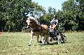 Photo n 37627&#10;Gonneville sur Mer 2016. Photo Chevalandrieu&#10;Sabine MIOSSEC de LARRARD&#10;Affiche 24 fois&#10;Ajoute le 14/08/2016 21:27:08 par Nadinetoudic&#10;&#10;--> Cliquer pour agrandir <--