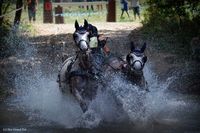 Photo n° 37903
Rosières aux Salines 2016  photo IFCE

Affichée 8 fois
Ajoutée le 18/08/2016 16:04:13 par JeanClaudeGrognet

--> Cliquer pour agrandir <--