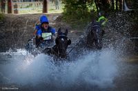 Photo n° 37938
Rosières aux Salines 2016  photo IFCE

Affichée 16 fois
Ajoutée le 18/08/2016 16:04:14 par JeanClaudeGrognet

--> Cliquer pour agrandir <--