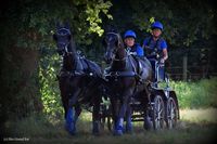 Photo n° 37943
Rosières aux Salines 2016  photo IFCE

Affichée 26 fois
Ajoutée le 18/08/2016 16:04:14 par JeanClaudeGrognet

--> Cliquer pour agrandir <--