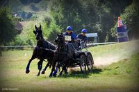 Photo n° 37945
Rosières aux Salines 2016  photo IFCE

Affichée 14 fois
Ajoutée le 18/08/2016 16:04:14 par JeanClaudeGrognet

--> Cliquer pour agrandir <--