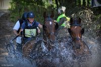 Photo n° 37952
Rosières aux Salines 2016  photo IFCE

Affichée 12 fois
Ajoutée le 18/08/2016 16:04:14 par JeanClaudeGrognet

--> Cliquer pour agrandir <--