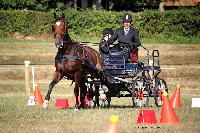 Photo n 37987&#10;Le Pin Champ. Normandie 2016. Photo Chevalandrieu&#10;Pascal PICARD&#10;Affiche 53 fois&#10;Ajoute le 05/09/2016 16:18:11 par Nadinetoudic&#10;&#10;--> Cliquer pour agrandir <--