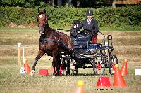 Photo n° 37987
Le Pin Champ. Normandie 2016. Photo Chevalandrieu
Pascal PICARD
Affichée 42 fois
Ajoutée le 05/09/2016 16:18:11 par Nadinetoudic

--> Cliquer pour agrandir <--