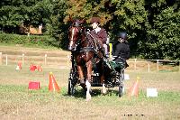 Photo n 37988&#10;Le Pin Champ. Normandie 2016. Photo Chevalandrieu&#10;Marie VILLETTE&#10;Affiche 88 fois&#10;Ajoute le 05/09/2016 16:18:11 par Nadinetoudic&#10;&#10;--> Cliquer pour agrandir <--