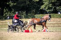 Photo n 37990&#10;Le Pin Champ. Normandie 2016. Photo Chevalandrieu&#10;Joseph TIJOU&#10;Affiche 38 fois&#10;Ajoute le 05/09/2016 16:18:12 par Nadinetoudic&#10;&#10;--> Cliquer pour agrandir <--