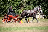 Photo n 37991&#10;Le Pin Champ. Normandie 2016. Photo Chevalandrieu&#10;Gilles NEVEU&#10;Affiche 21 fois&#10;Ajoute le 05/09/2016 16:18:12 par Nadinetoudic&#10;&#10;--> Cliquer pour agrandir <--