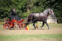 Photo n° 37991
Le Pin Champ. Normandie 2016. Photo Chevalandrieu
Gilles NEVEU
Affichée 18 fois
Ajoutée le 05/09/2016 16:18:12 par Nadinetoudic

--> Cliquer pour agrandir <--