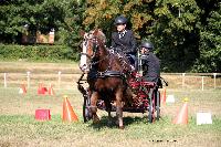 Photo n 37992&#10;Le Pin Champ. Normandie 2016. Photo Chevalandrieu&#10;Guylain TRANCHARD&#10;Affiche 37 fois&#10;Ajoute le 05/09/2016 16:18:12 par Nadinetoudic&#10;&#10;--> Cliquer pour agrandir <--