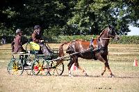 Photo n 37993&#10;Le Pin Champ. Normandie 2016. Photo Chevalandrieu&#10;Auriane LAVICE&#10;Affiche 17 fois&#10;Ajoute le 05/09/2016 16:18:12 par Nadinetoudic&#10;&#10;--> Cliquer pour agrandir <--