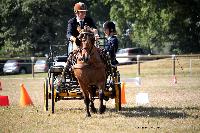 Photo n 37994&#10;Le Pin Champ. Normandie 2016. Photo Chevalandrieu&#10;Romain CHEDRU&#10;Affiche 19 fois&#10;Ajoute le 05/09/2016 16:18:12 par Nadinetoudic&#10;&#10;--> Cliquer pour agrandir <--