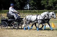 Photo n 37995&#10;Le Pin Champ. Normandie 2016. Photo Chevalandrieu&#10;Pnlope BROOKE&#10;Affiche 31 fois&#10;Ajoute le 05/09/2016 16:52:11 par Nadinetoudic&#10;&#10;--> Cliquer pour agrandir <--