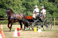 Photo n 37997&#10;Le Pin Champ. Normandie 2016. Photo Chevalandrieu&#10;Maryline MARQUIS&#10;Affiche 26 fois&#10;Ajoute le 05/09/2016 16:52:11 par Nadinetoudic&#10;&#10;--> Cliquer pour agrandir <--