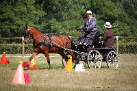 Photo n 37998&#10;Le Pin Champ. Normandie 2016. Photo Chevalandrieu&#10;Pierre LE CLERC&#10;Affiche 17 fois&#10;Ajoute le 05/09/2016 16:52:11 par Nadinetoudic&#10;&#10;--> Cliquer pour agrandir <--