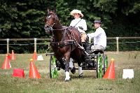 Photo n 37999&#10;Le Pin Champ. Normandie 2016. Photo Chevalandrieu&#10;Emilie LELARD&#10;Affiche 19 fois&#10;Ajoute le 05/09/2016 16:52:11 par Nadinetoudic&#10;&#10;--> Cliquer pour agrandir <--