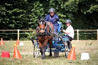 Photo n 38000&#10;Le Pin Champ. Normandie 2016. Photo Chevalandrieu&#10;Mireille MARLIN&#10;Affiche 123 fois&#10;Ajoute le 05/09/2016 16:52:11 par Nadinetoudic&#10;&#10;--> Cliquer pour agrandir <--