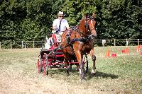 Photo n 38001&#10;Le Pin Champ. Normandie 2016. Photo Chevalandrieu&#10;Eric LAVILLE&#10;Affiche 18 fois&#10;Ajoute le 05/09/2016 16:52:11 par Nadinetoudic&#10;&#10;--> Cliquer pour agrandir <--