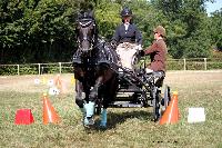 Photo n 38002&#10;Le Pin Champ. Normandie 2016. Photo Chevalandrieu&#10;Mathilde BAYLAC&#10;Affiche 19 fois&#10;Ajoute le 05/09/2016 16:52:11 par Nadinetoudic&#10;&#10;--> Cliquer pour agrandir <--