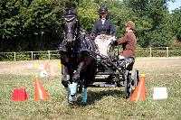 Photo n° 38002
Le Pin Champ. Normandie 2016. Photo Chevalandrieu
Mathilde BAYLAC
Affichée 17 fois
Ajoutée le 05/09/2016 16:52:11 par Nadinetoudic

--> Cliquer pour agrandir <--