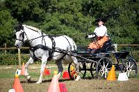 Photo n 38004&#10;Le Pin Champ. Normandie 2016. Photo Chevalandrieu&#10;Jane MULOT&#10;Affiche 22 fois&#10;Ajoute le 05/09/2016 17:01:52 par Nadinetoudic&#10;&#10;--> Cliquer pour agrandir <--