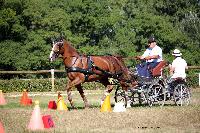 Photo n 38006&#10;Le Pin Champ. Normandie 2016. Photo Chevalandrieu&#10;Equipage Philippe THIEBAUT&#10;Affiche 21 fois&#10;Ajoute le 05/09/2016 17:01:52 par Nadinetoudic&#10;&#10;--> Cliquer pour agrandir <--