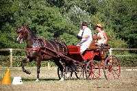 Photo n 38008&#10;Le Pin Champ. Normandie 2016. Photo Chevalandrieu&#10;Equipage Francis LE NOUAILLE&#10;Affiche 124 fois&#10;Ajoute le 05/09/2016 17:01:52 par Nadinetoudic&#10;&#10;--> Cliquer pour agrandir <--