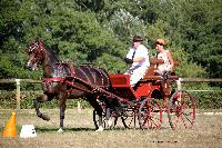 Photo n° 38008
Le Pin Champ. Normandie 2016. Photo Chevalandrieu
Equipage Francis LE NOUAILLE
Affichée 96 fois
Ajoutée le 05/09/2016 17:01:52 par Nadinetoudic

--> Cliquer pour agrandir <--