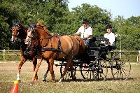 Photo n 38013&#10;Le Pin Champ. Normandie 2016. Photo Chevalandrieu&#10;Equipage Pierre MONNIER&#10;Affiche 26 fois&#10;Ajoute le 05/09/2016 17:01:52 par Nadinetoudic&#10;&#10;--> Cliquer pour agrandir <--