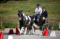 Photo n 38033&#10;CAI Le PIN 2016. Photo Chevalandrieu&#10;Laetitia MARICOURT. FRA&#10;Affiche 30 fois&#10;Ajoute le 08/09/2016 11:32:34 par Nadinetoudic&#10;&#10;--> Cliquer pour agrandir <--