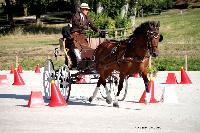 Photo n 38034&#10;CAI Le PIN 2016. Photo Chevalandrieu&#10;Benoit VERNAY. FRA&#10;Affiche 24 fois&#10;Ajoute le 08/09/2016 11:32:34 par Nadinetoudic&#10;&#10;--> Cliquer pour agrandir <--