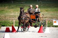 Photo n 38035&#10;CAI Le PIN 2016. Photo Chevalandrieu&#10;Mark WENTEIN. BEL&#10;Affiche 16 fois&#10;Ajoute le 08/09/2016 11:32:34 par Nadinetoudic&#10;&#10;--> Cliquer pour agrandir <--