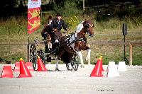 Photo n 38036&#10;CAI Le PIN 2016. Photo Chevalandrieu&#10;Maxime MARICOURT. FRA&#10;Affiche 20 fois&#10;Ajoute le 08/09/2016 11:32:34 par Nadinetoudic&#10;&#10;--> Cliquer pour agrandir <--