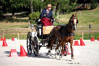 Photo n 38038&#10;CAI Le PIN 2016. Photo Chevalandrieu&#10;Tjidde VAN WILLENSWAARD. NED&#10;Affiche 17 fois&#10;Ajoute le 08/09/2016 11:52:06 par Nadinetoudic&#10;&#10;--> Cliquer pour agrandir <--