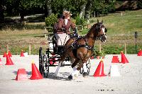 Photo n 38039&#10;CAI Le PIN 2016. Photo Chevalandrieu&#10;Amandine LEBLANC. FRA&#10;Affiche 37 fois&#10;Ajoute le 08/09/2016 11:52:06 par Nadinetoudic&#10;&#10;--> Cliquer pour agrandir <--