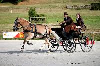 Photo n 38040&#10;CAI Le PIN 2016. Photo Chevalandrieu&#10;Denny SCHUDDINCK. BEL&#10;Affiche 18 fois&#10;Ajoute le 08/09/2016 11:52:06 par Nadinetoudic&#10;&#10;--> Cliquer pour agrandir <--