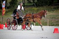 Photo n 38041&#10;CAI Le PIN 2016. Photo Chevalandrieu&#10;Eline DUFOSSEZ. BEL&#10;Affiche 33 fois&#10;Ajoute le 08/09/2016 11:52:06 par Nadinetoudic&#10;&#10;--> Cliquer pour agrandir <--